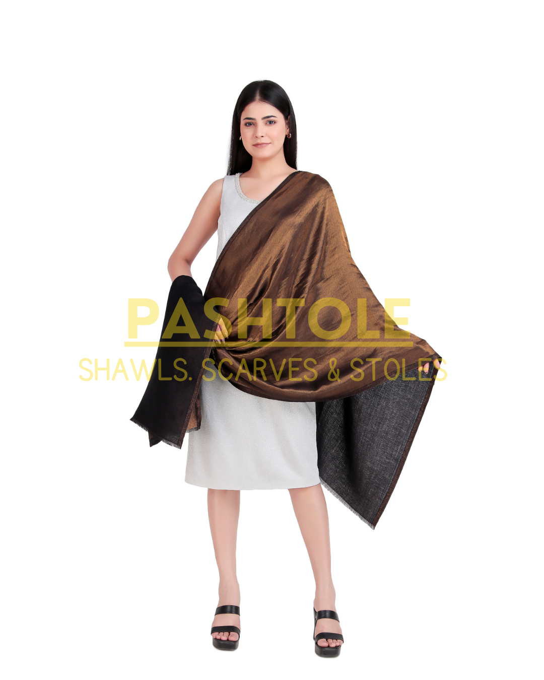 Black & Golden Zari Reversible Stole