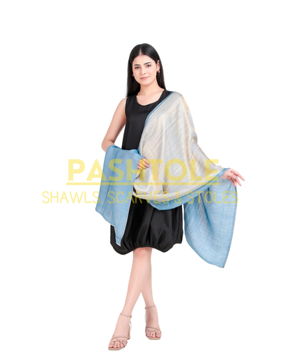 Sky Blue Zari Reversible Stole